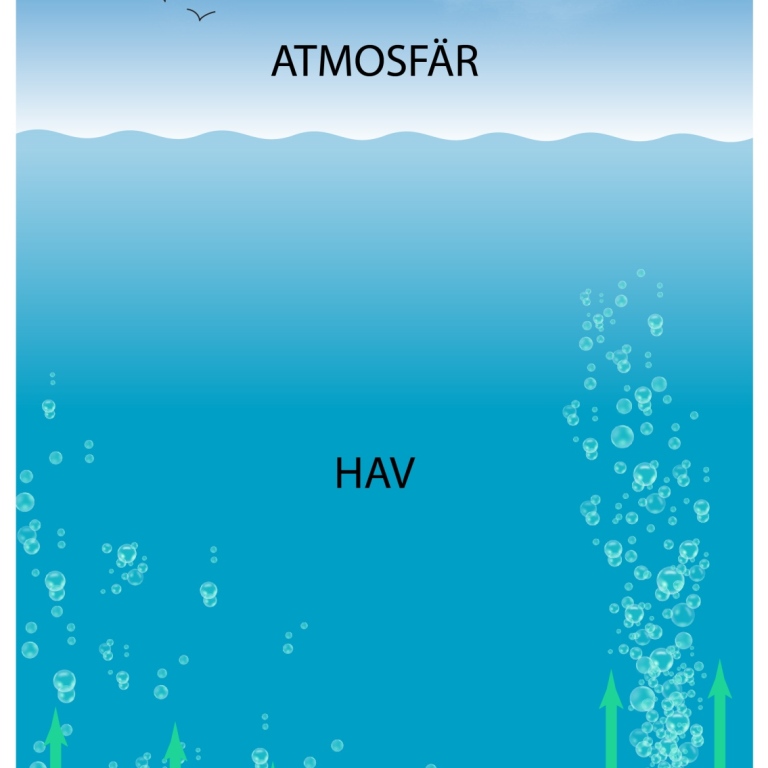 Figur över läckage av metan från havsbottnar
