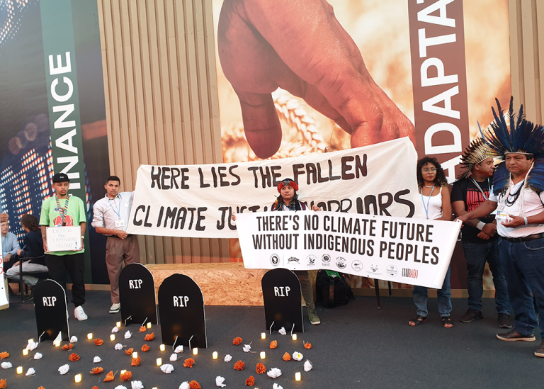 Indigenous peoples protesting at COP27
