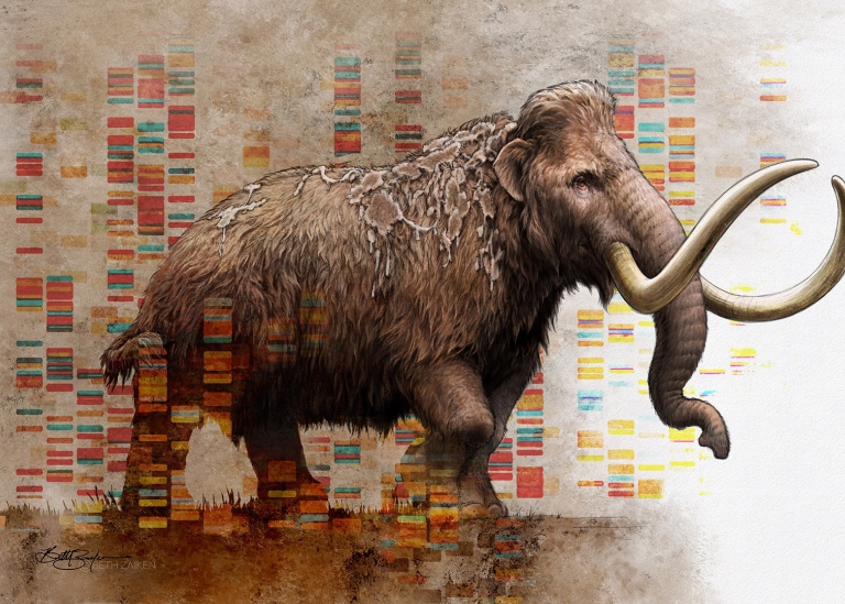 Illustration av mammut