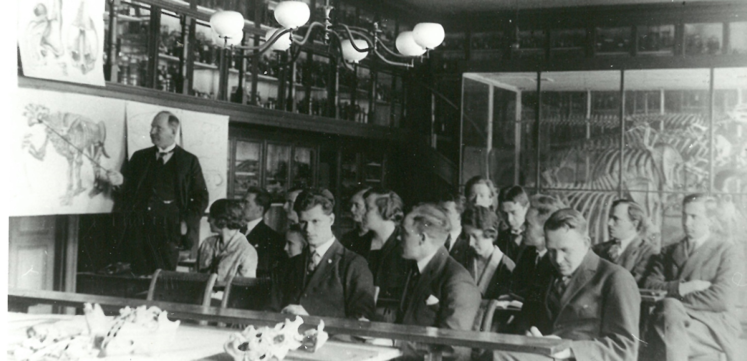 Professor Nils Holmgren (Efterträdare till Wilhem Leche) vårterminen 1926 i föreläsningssalen med studiesamlingen på Kungsgatan. Föreläsningen heter Översikt av däggdjurens fylogeni. I bakgrunden syns glasskåpet med de Hedinska samlingarna.