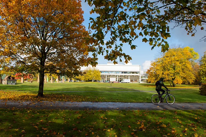 Trees in the autumn, grass lawn, a biker, and the Arrhenius Laboratory.