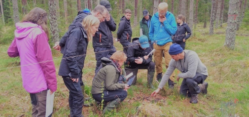 Benny Willman, masterstudent, is showing the transplanted northern species.