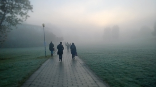 SU morning walk. Photographer: Alexandra Losvik.