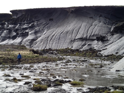 Thawing permafrost in Arctic Canada (see the person in the image for scale). The research project Nunataryuk will study the effects of climate change on the Arctic coastal environment. Photo: Gustaf Hugelius