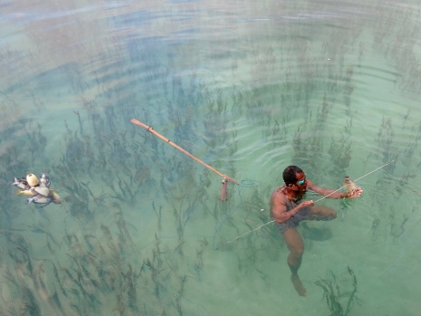 In many places in the world fishers still, utilise spearfishing as a subsistence means of catching food. The Bajo of SE Asia is an indigenous group who still commonly practice such activity in Wakatobi, Indonesia. Photo: Richard Unsworth.