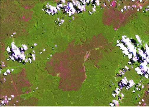 Landsat 8 OLI image retrieving kilometres of burned forests spread across old-growth forests in Amaz