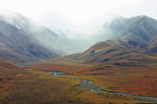 Tundra in an alpine landscape. Photo: Pixabay.com