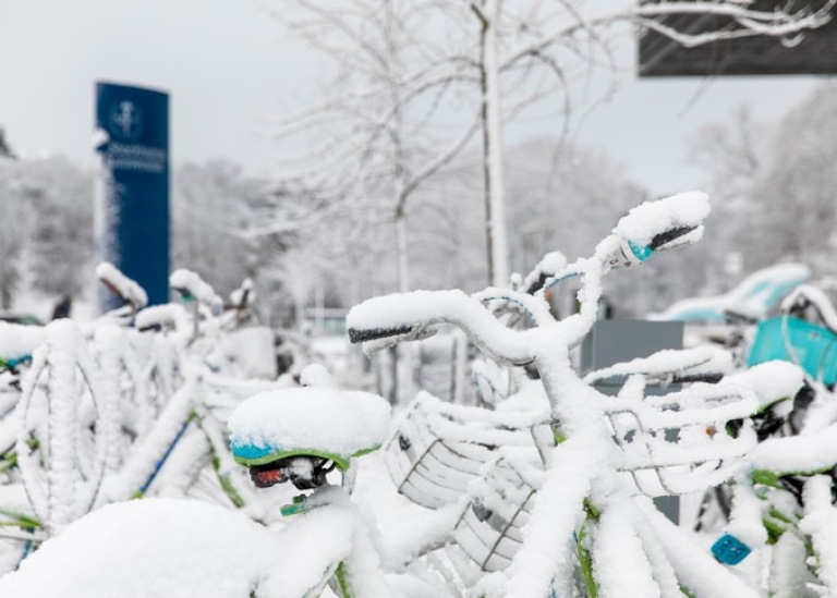 Snow-covered bikes outside Studenthuset Photo: Niklas Björling