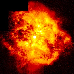 The Wolf-Rayet star WR124 