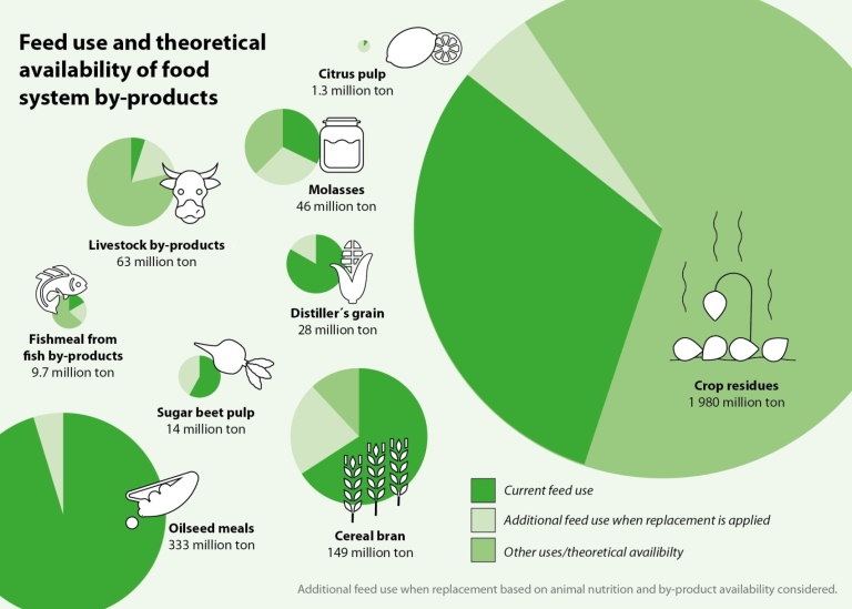 grafik med olika cirklar för foder som skulle kunna användas som mat