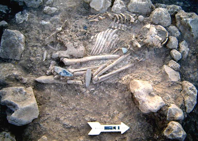 Buried skeleton