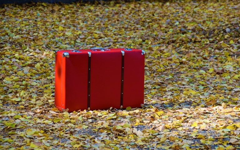 Red suitcase surrounded by autumn leaves.