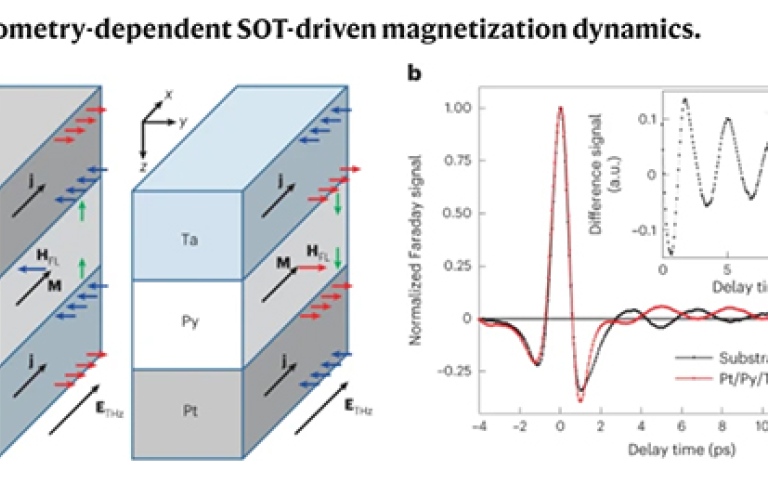 Geometry-dependent SOT-driven magnetization dynamics
