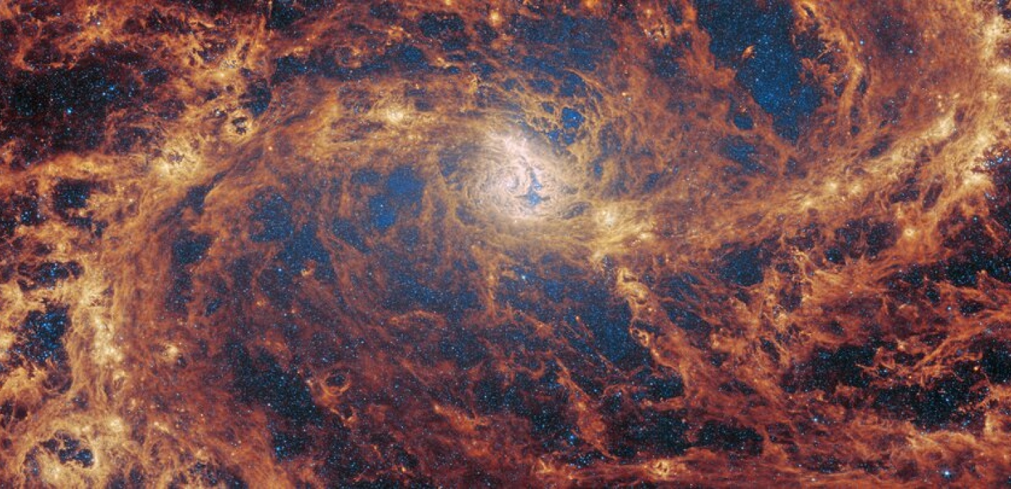 Spiralgalax där armarna lyser i orange i en bild från JWST