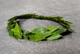 The laurel wreath, Stockholm University