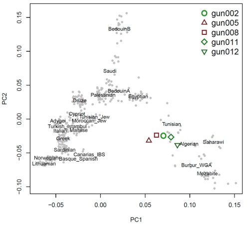 En så kallad Principal Components Plot som visar hur guancherna såg ut genetiskt i jämförelse med moderna referenspopulationer från Nordafrika, Europa och Mellanöstern.