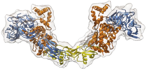 Cryo-EM structure