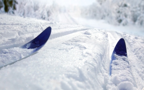 Hur skadligt är skidvalla för miljön? Foto: Mikael Damkier/Mostphotos