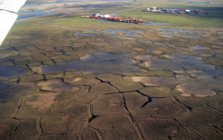 Tundrapolygoner med permafrost i norra Alaska påverkas av klimatförändringar. Foto Britta Sannel. 