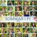 Sommar i P1 2020 Kollage: Sveriges Radio