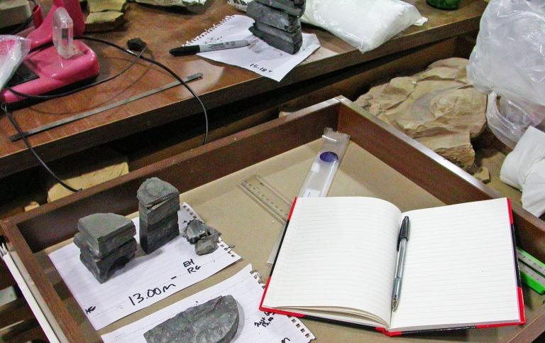 Fossils and a note book on a table. Photo: Private