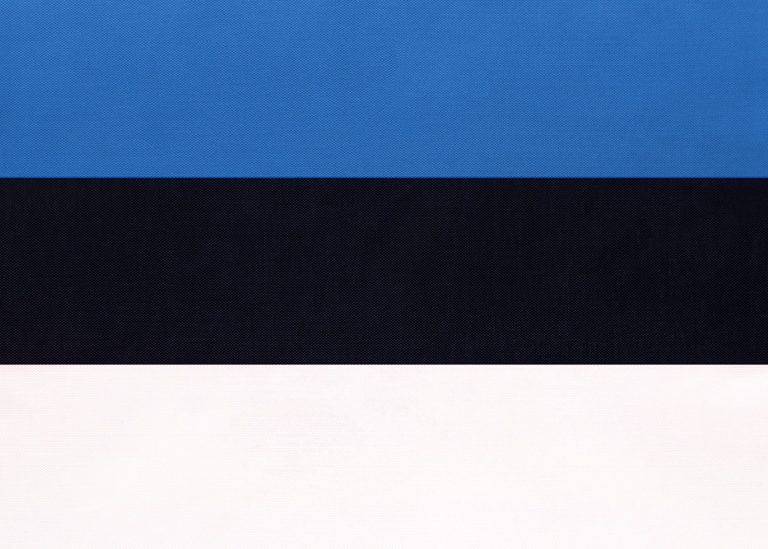 Estlands flagga. Foto: Anastasiia Guseva/MostPhotos