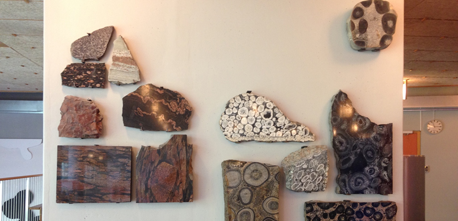 collection of stones hanging on wall, geoscience building, stockholm university