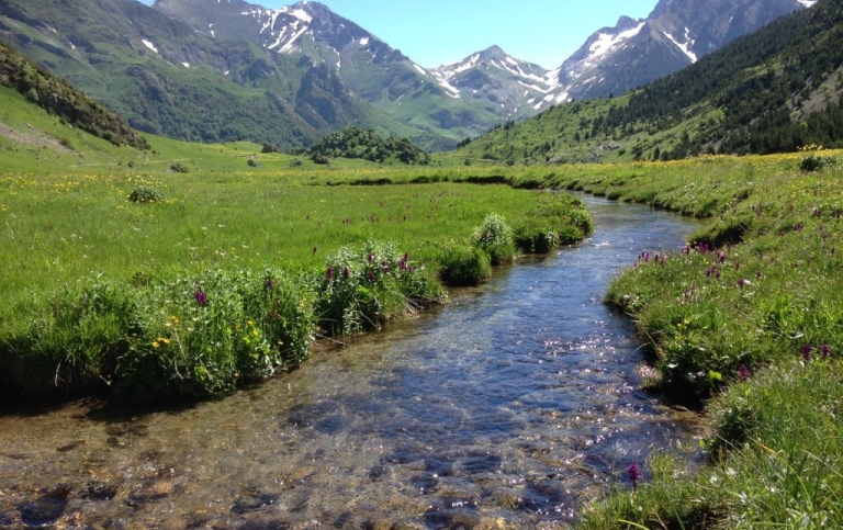 Clean water from streams in the Pyrenees, an example of Green Infrastructure. Photo Håkan Berg.