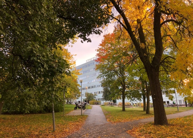 Höst över Södra Huset, Stockholms universitet