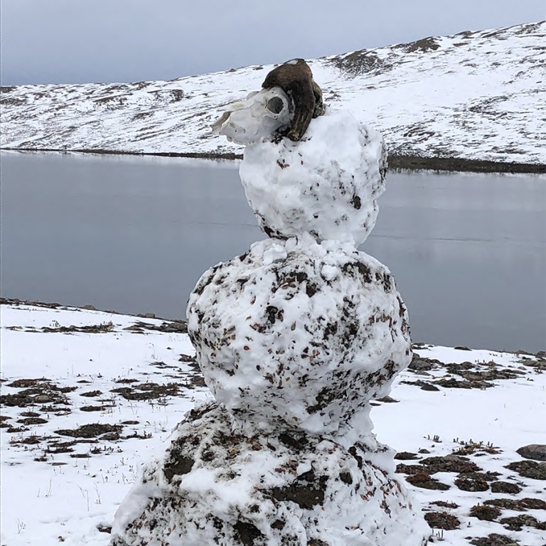 muskox demon (snowman with a musk ox cranium on)