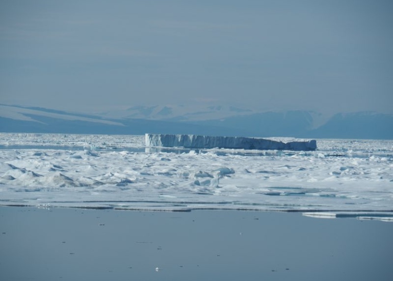 Sea ice and icebergs
