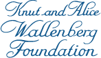 Logo Knut and Alice Wallenberg Foundation