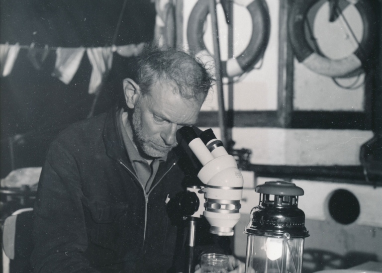 Pionjären Mats Waern artbestämmer prover i ett mikroskop. Bild från 1960-talet.