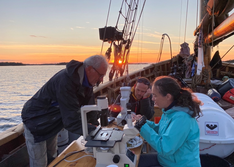 Tre forskare artbestämmer prover i solnedgången på fartyget Sunbeams däck