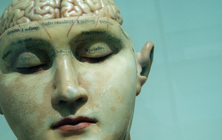 Human anatomic head. Photo: David Matos on Unsplash.