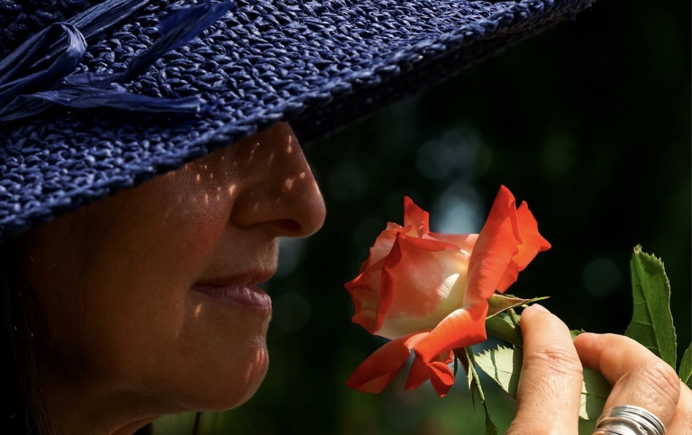 Women smelling a rose. Photo: suju-foto from Pixabay.