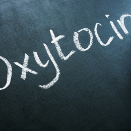 Oxytocin written on the blackboard. Photo: iStock