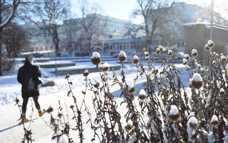 En student går på campus en vacker vinterdag.