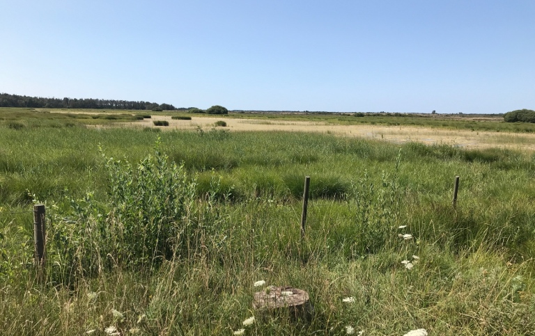 A wetland that was restored to increase the water supplies in Southern Öland. Photo: Elin Lundquist.