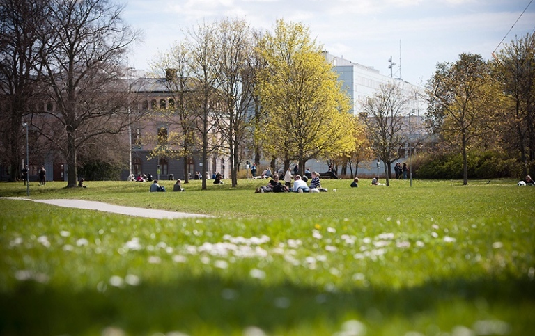 Frescati campus in spring. Photo: Ingmarie Andersson/Stockholm University