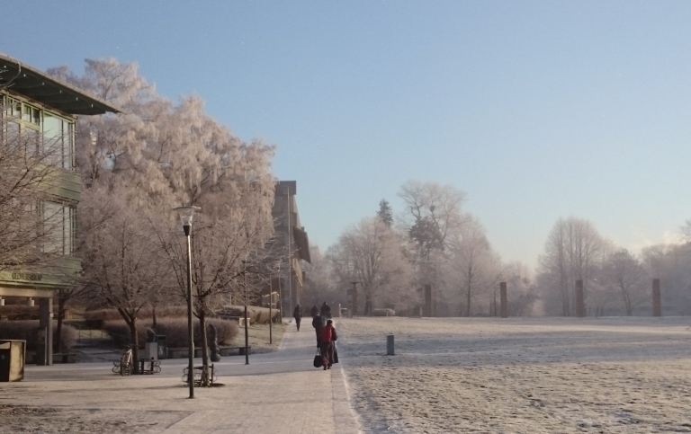 Landskapsbild från campus en frostig dag