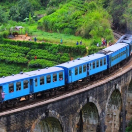 Blått tåg på bro i Sri Lanka.