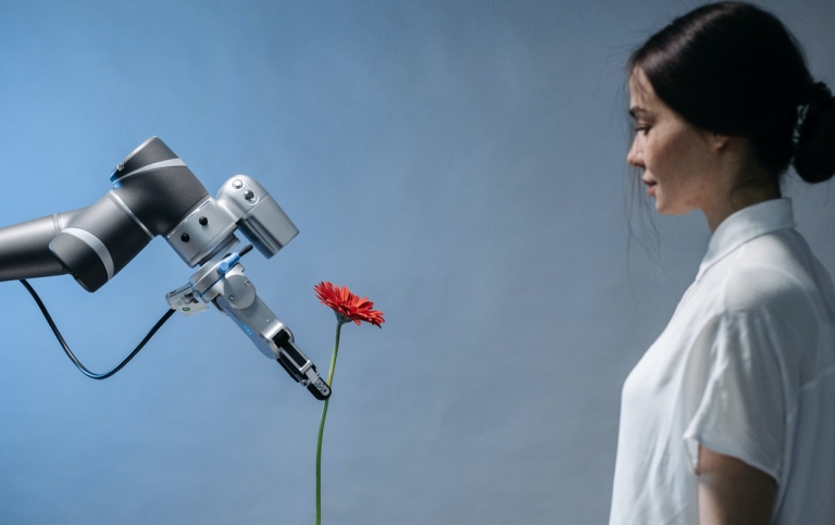 Genre photo: A robot offering a flower to a human. Photo: Pavel Danilyuk/Pexels.