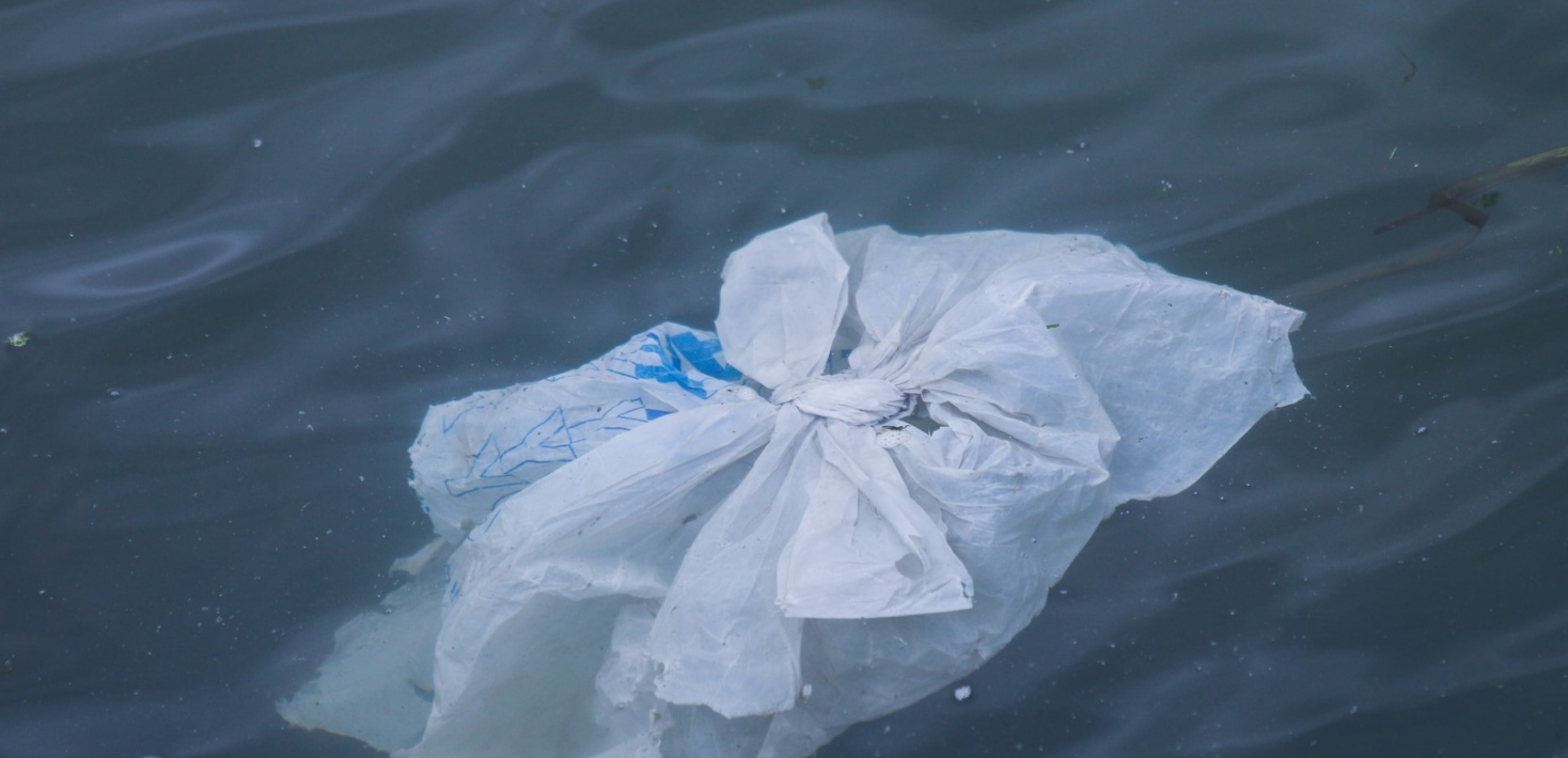 Plastic bag in the sea. Photo: Brian Yurasits /Unsplash.