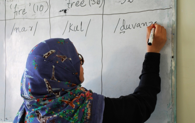 Deltagare i forskningsstudie i Kashmir presenterar data. Foto: Henrik Liljegren