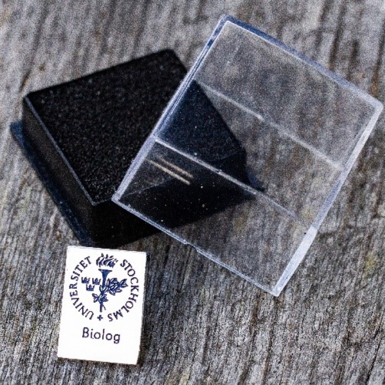 A pin with the Stockholm University logo and "Biologist" (in Swedish)
