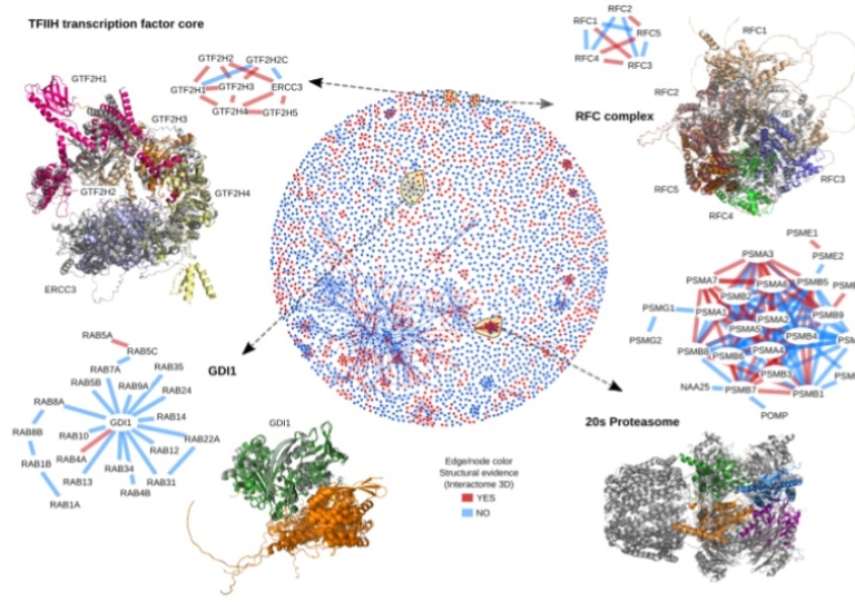 Bioinformatics – Protein structure, sequence and evolution