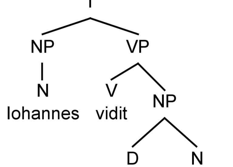 Generative grammar tree of the Latin sentence Iohannes vidit illam puellam or "John saw the girl
