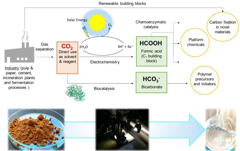 C1Bio – carbon fixation by green chemistry for a C1-based bioeconomy