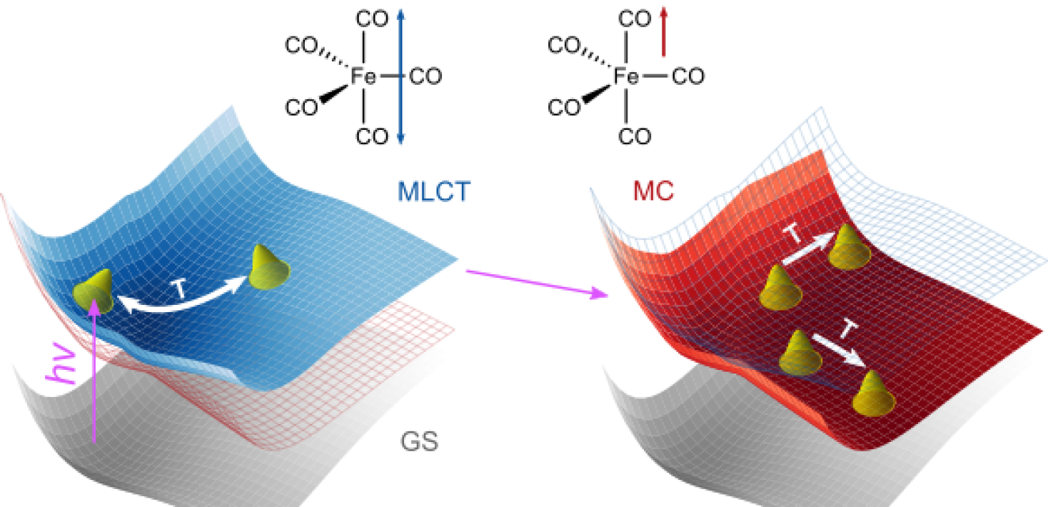 Potential energy landscape in the bound metal-to-ligand charge-transfer state & a dissociation state